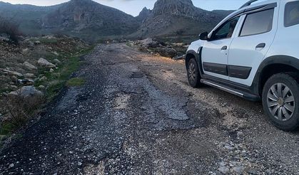 Lice'de bozuk yollar vatandaşları isyan ettirdi