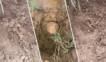 Lice'de bulunan kemikler kazıda parçalandı