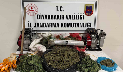 Hazro’da kenevir operasyonu: 3 şüpheli gözaltına alındı