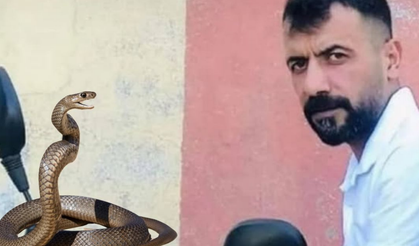 Dicle’de yılan ısırdığı çoban hayatını kaybetti