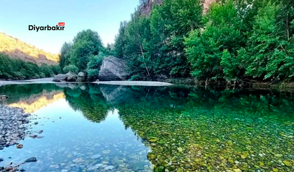 Diyarbakır Eğil’de piknik alanına yasak