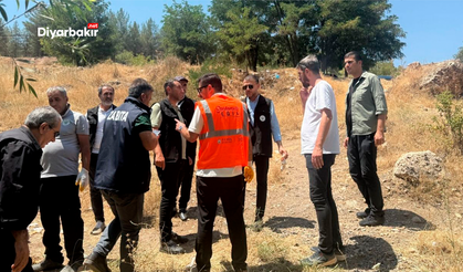 Eğil’de piknik alanlarında temizlik