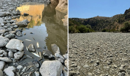 Diyarbakır Dicle’de 30 Ağustos Zafer Bayramı kutlaması