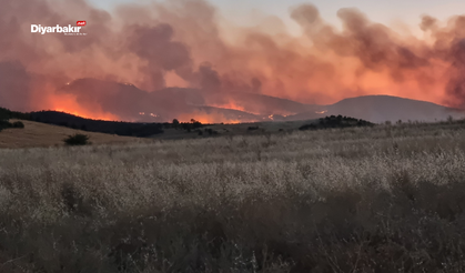 Diyarbakır Valiliği’nden Lice yangını açıklaması: Yerleşim yerleri güvende