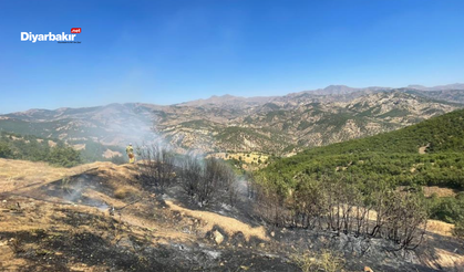 Diyarbakır’ın Lice ilçesinde üç ayrı noktada çıkan yangın kontrol altına alındı