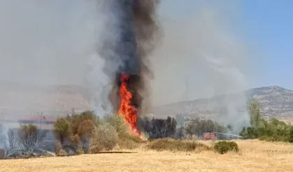 Lice’de arazi yangınına hızlı müdahale