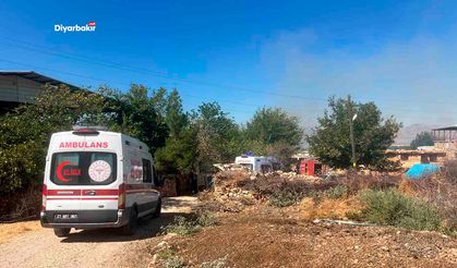 Diyarbakır Hani’de orman yangını: Yerleşim yerlerinde tedbir