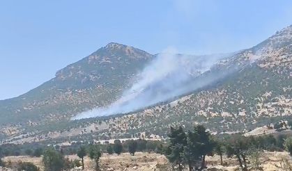 Lice’de orman yangını yeniden başladı