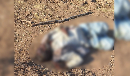 Lice’de kırsalda bulunan cesedin kimliği ortaya çıktı