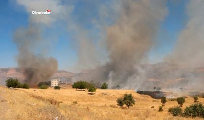 Lice’de yangın yeniden alevlendi