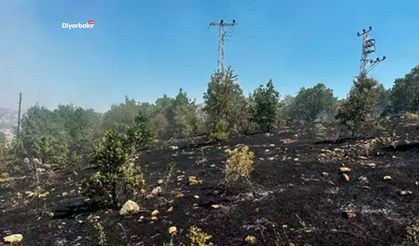Diyarbakır Lice’de örtü yangını kontrol altına alındı