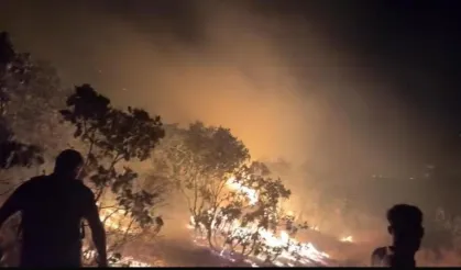 Silvan’da orman yangını kontrol altına alındı