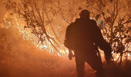 Silvan’da orman yangını: Havadan ve karadan müdahale sürüyor