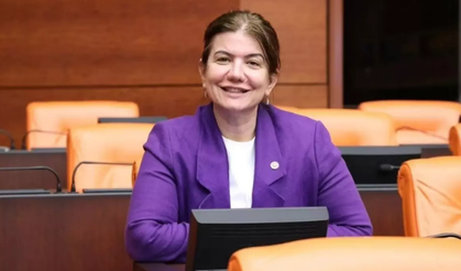 Diyarbakır vekilinden dikkat çeken açıklama: Kardeşlik tarihinde yeni bir sayfa açılıyor