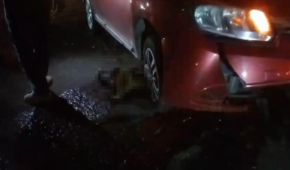 Silvan’da yol ortasında doğum yapan mandaya otomobil çarptı