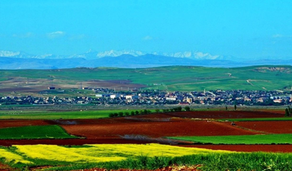 Diyarbakırın bir dönemin göçmen köyleri, bugün sessiz mezarlıklara dönüştü