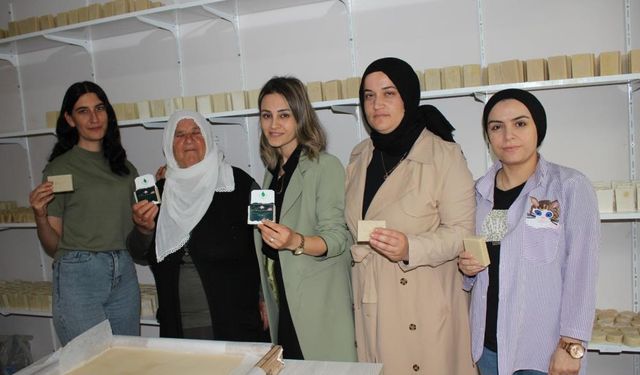 Diyarbakır'daki kadınların başarı hikayesi