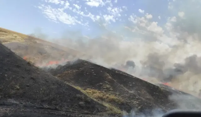 Diyarbakır'da biçerdöver yangını: 450 dönüm buğday kül oldu