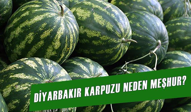 Diyarbakır Karpuzu Neden Meşhur? Mevsimi Ne Zaman? İşte Diyarbakır Karpuzu Hakkında Bilgiler…