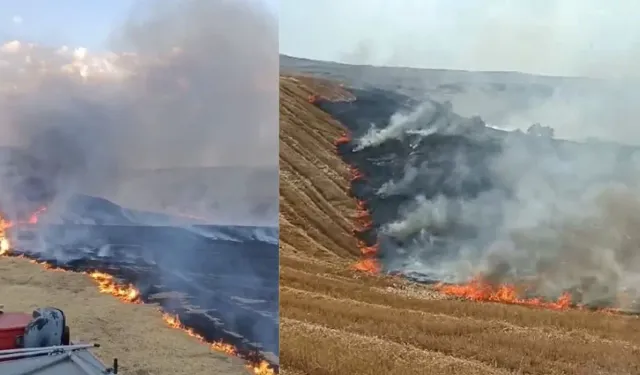 Diyarbakır'da yangın: 3 bin dönümlük zarar