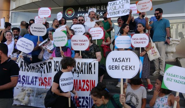 Sokak hayvanları için Diyarbakır'dan tepki: Yasa geri çekilsin