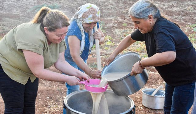 Bağlar Belediyesi'nden bağ bozumu etkinliği