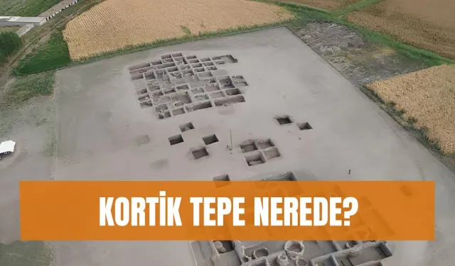 Körtik Tepe nerede? Körtik Tepe'den çıkan buluntular ve tarihi