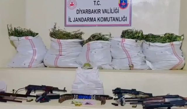 Lice'de dev operasyon: 15 milyon 882 bin kök kenevir ve 2 bin 500 kilogram kubar ele geçirildi