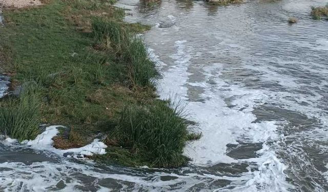 Dicle Nehri'nde köpük alarmı