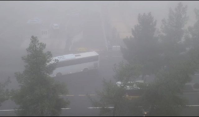 Diyarbakır'da etkili olan sis, trafiği olumsuz etkiledi