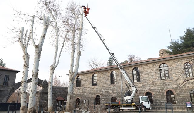 Diyarbakır’da 4 ilçede 24 bin 833 ağaç budama çalışması yapıldı