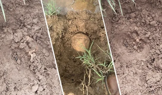 Lice'de bulunan kemikler kazıda parçalandı