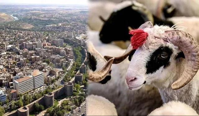 Bayramda Diyarbakır’ı nasıl bir hava bekliyor?