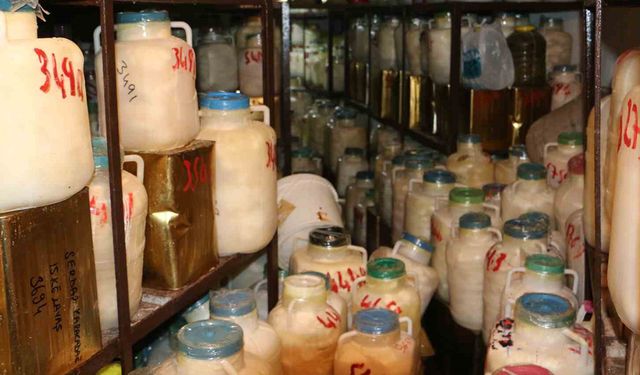 Diyarbakır’da kışlık peynir telaşı başladı