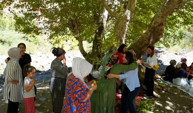 Kulp’ta kadınlardan dayanışma pikniği