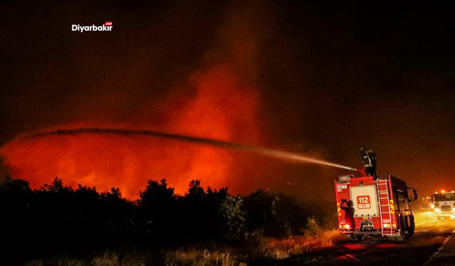 Lice ve Hani’deki yangın kontrol altına alındı