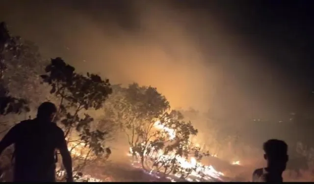 Silvan’da orman yangını kontrol altına alındı