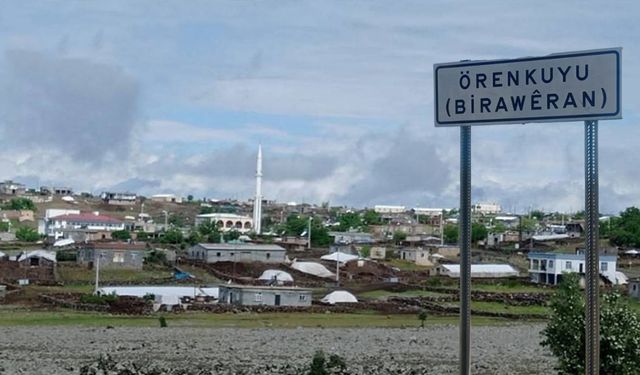 Diyarbakır’da köy halkı köpek sürüsünden şikâyetçi
