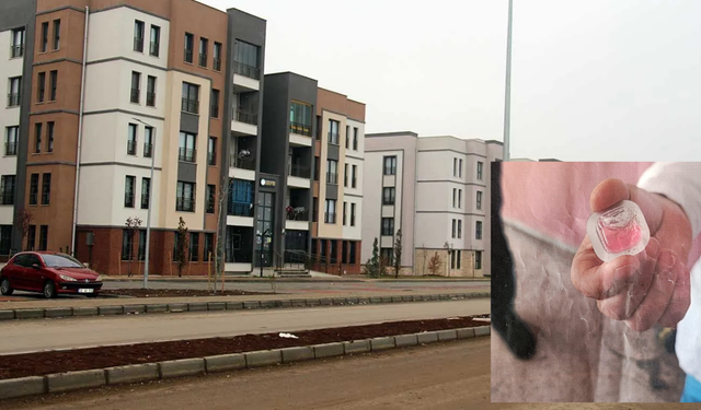 Bağlar’da havadan kuduz aşısı paniği