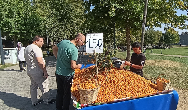 Diyarbakır’da sonbaharın gözdesi alıç tezgahlarda yerini aldı