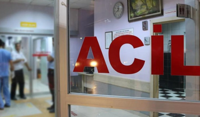 Diyarbakır’da kargo aracı devrildi: 2 kişi yaralandı