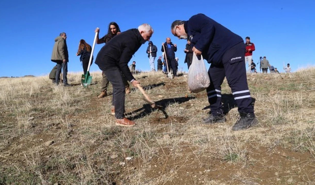 Diyarbakır’da yangın alanı yeniden yeşeriyor