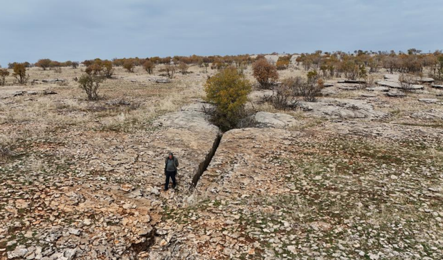Kocaköy’de milyonlarca yılın hikâyesi: Fosiller, faylar ve Tetis Denizi