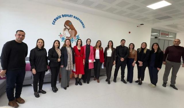 Türkiye'nin ilk "Anne Dostu Hastanesi" Diyarbakır'da: Çermik Devlet Hastanesi'nin gururu