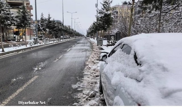 Dicle'de kar yağışı tarıma can suyu oldu: Kuraklık endişesi azaldı
