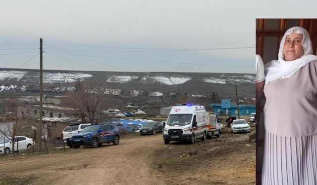 Diyarbakır'da 2 çocuk annesi kadın kayboldu: Jandarma ve AFAD harekete geçti