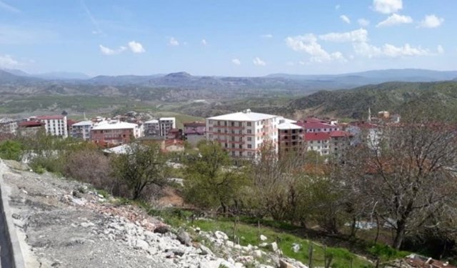 Diyarbakır'ın merkeze en uzak ilçesi hangisi? İşte bilinmeyen özellikleri