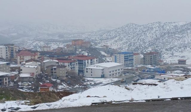 Ve Diyarbakır'a beklenen kar geldi: Kulp'ta beyaz örtü oluştu
