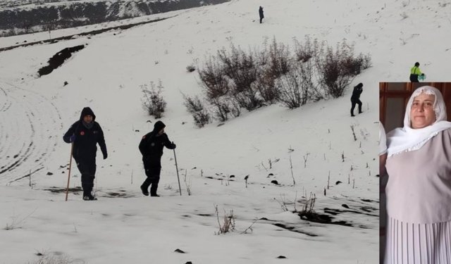Diyarbakır'da kayıp Nimet Kılıç için umut arayışı: 480 kişilik ekip sahada