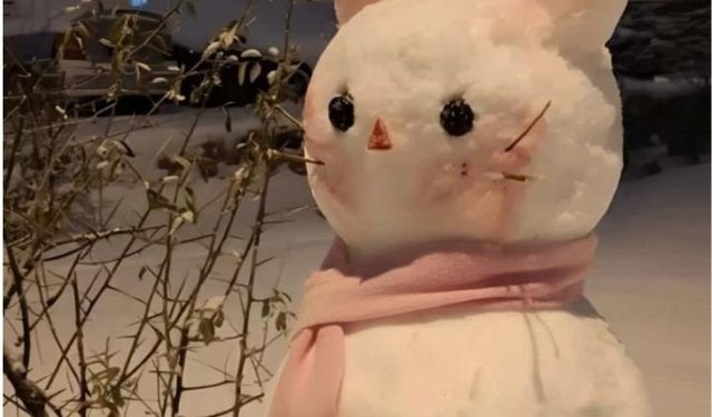 Diyarbakır'da en güzel kardan adam yarışması: Birinci belirlendi